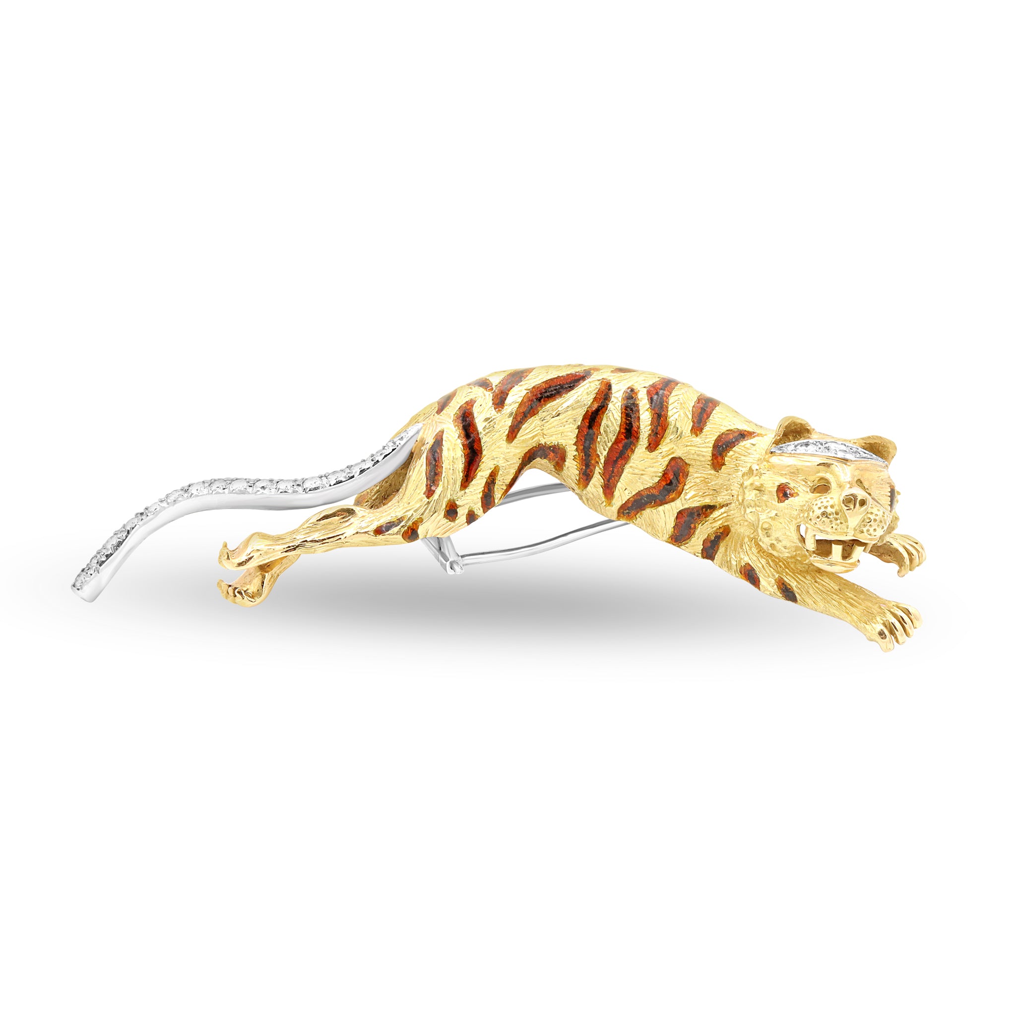 Animal 1 10-25-2024