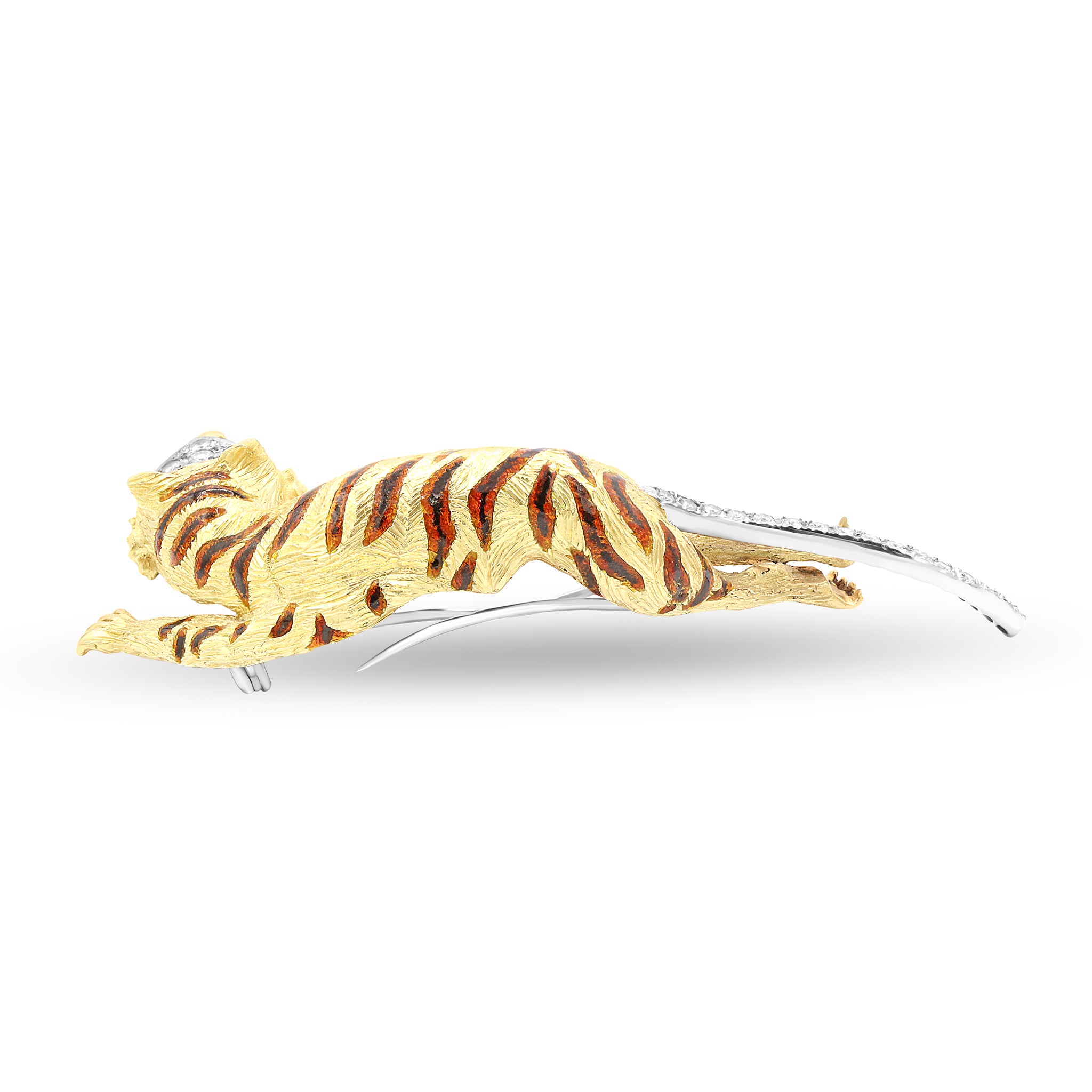 Animal 1 10-25-2024