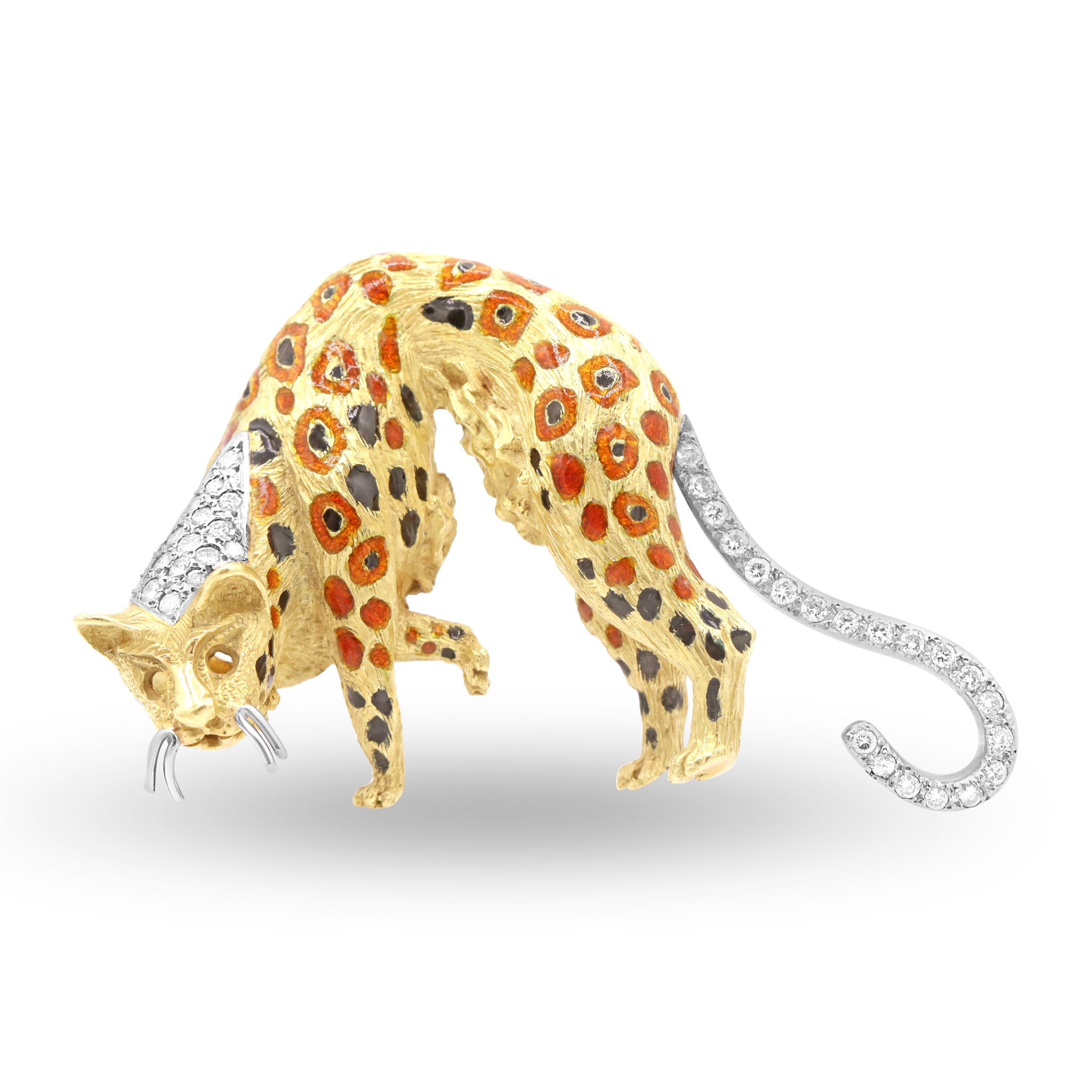 Animal 3 10-25-2024