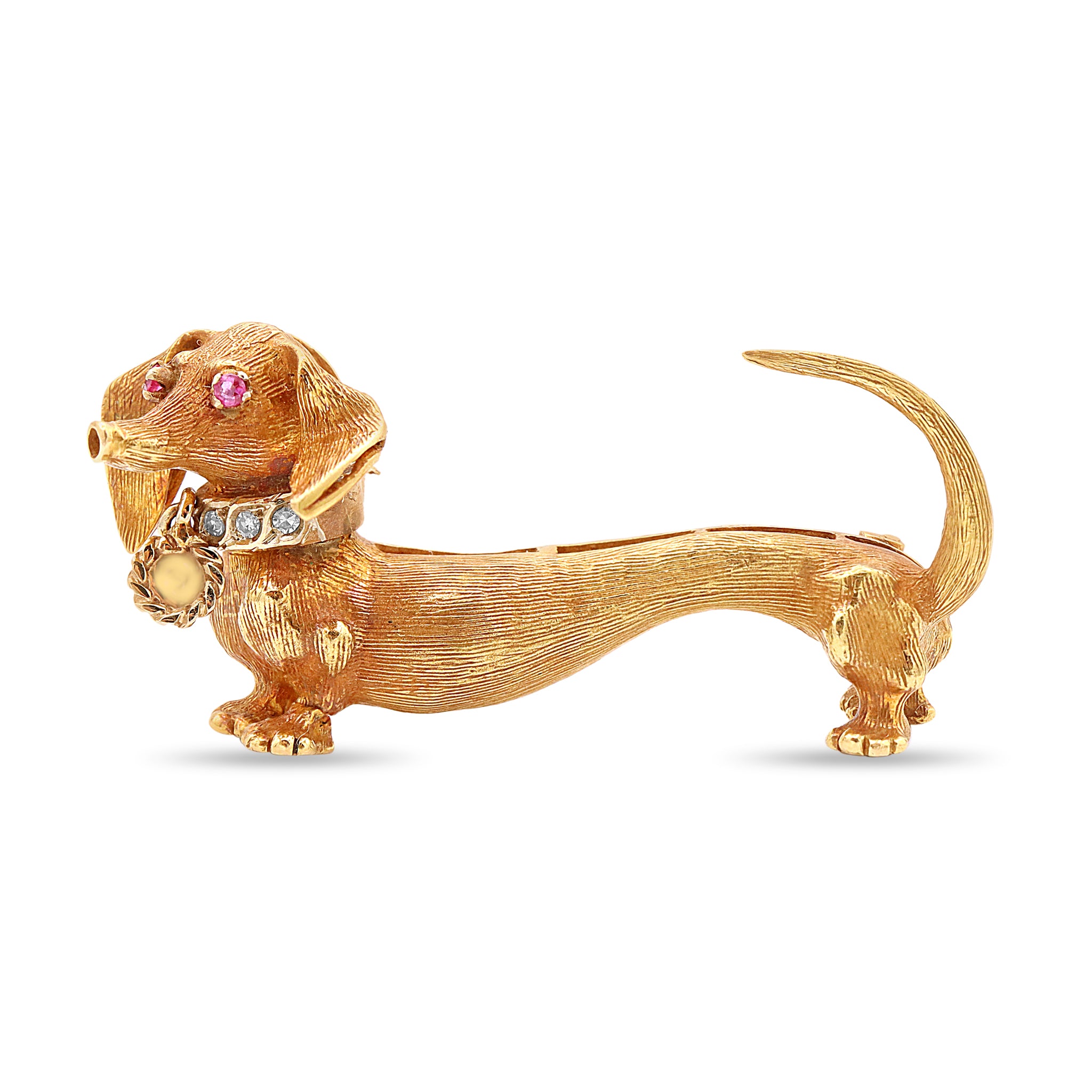Animal 19 10-25-2024