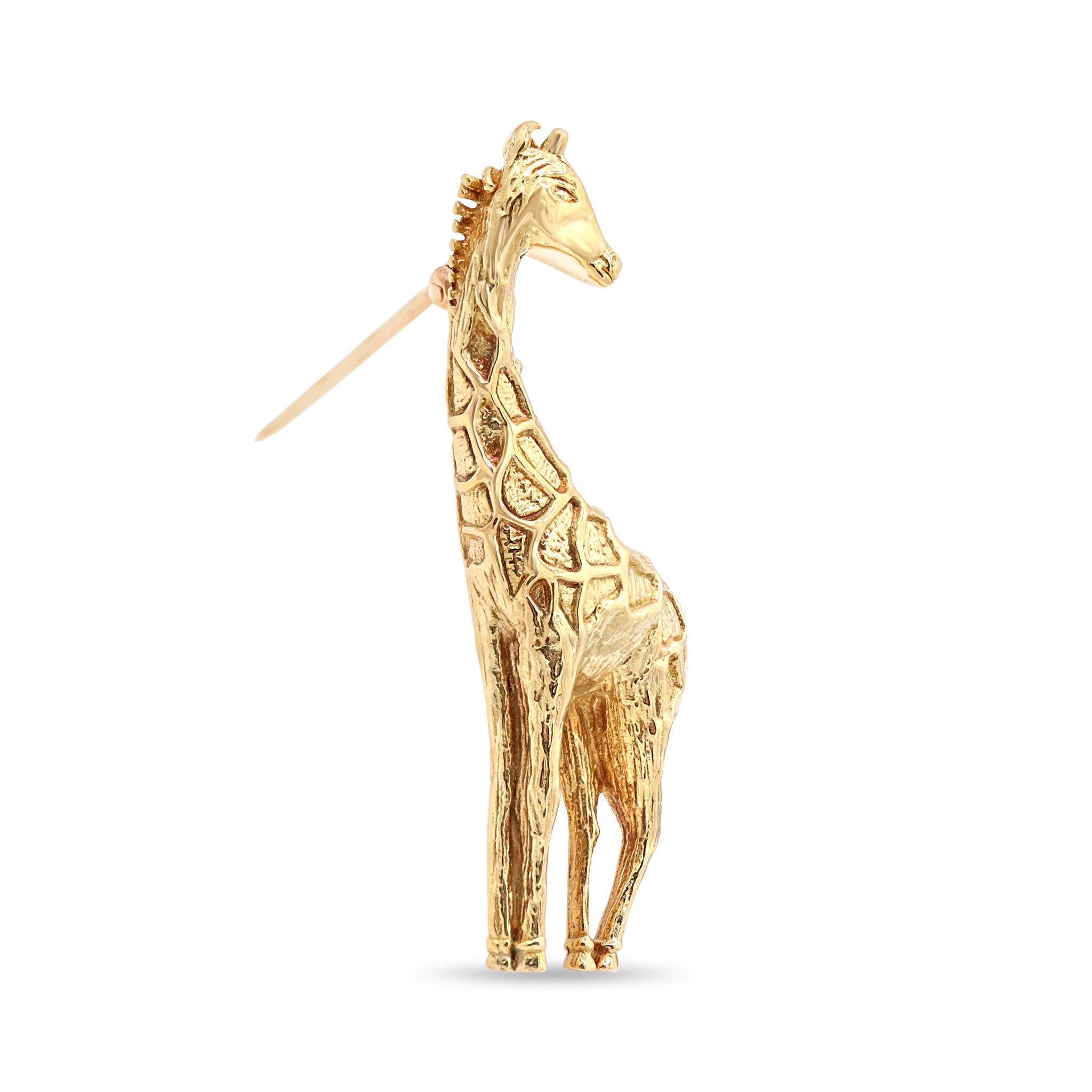Animal 22 10-25-2024