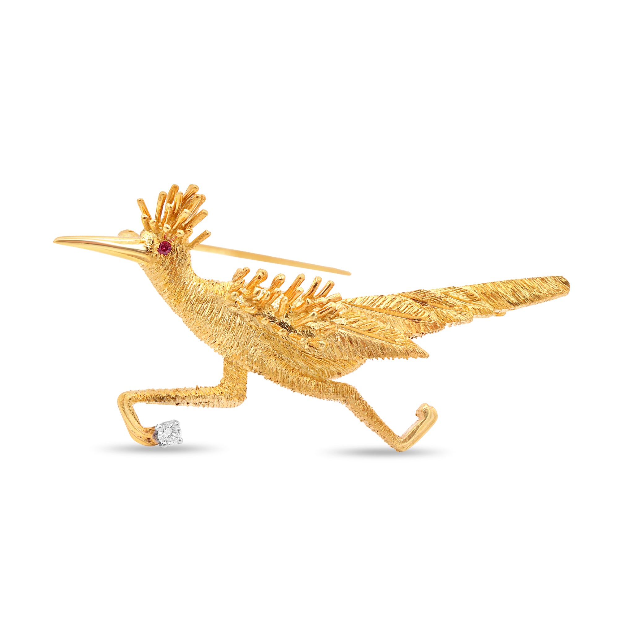 Animal 26 10-25-2024