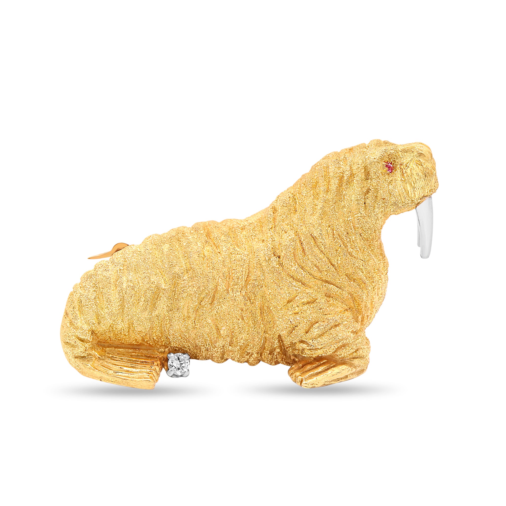 Animal 28 10-25-2024