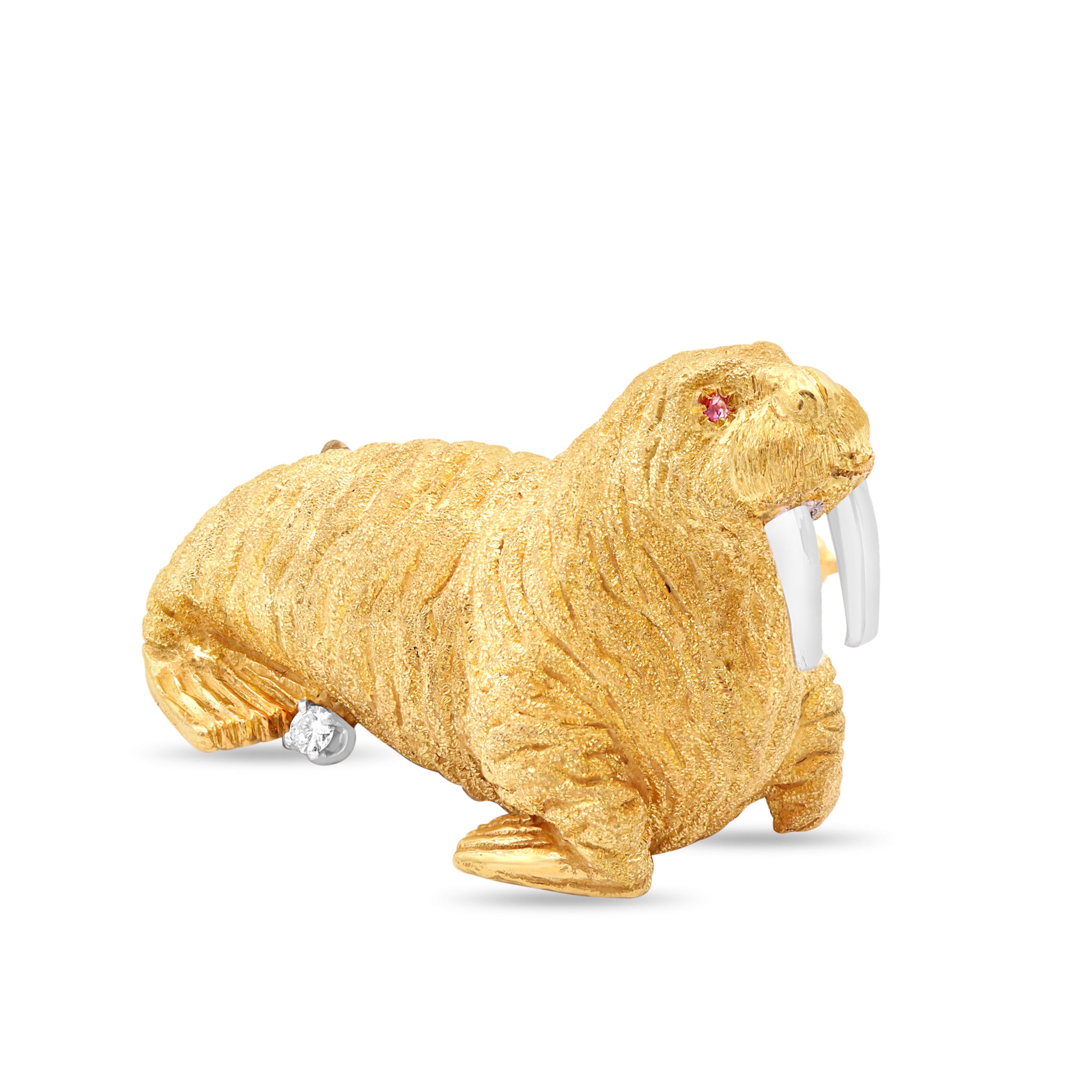 Animal 28 10-25-2024