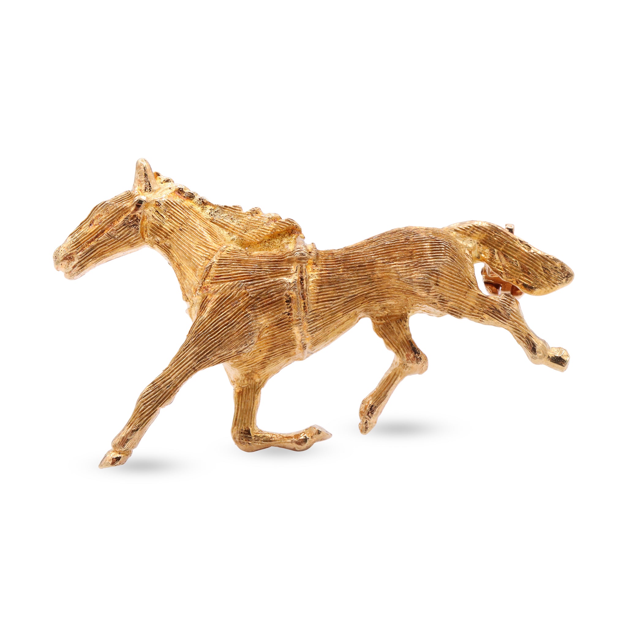 Animal 12 10-31-2024