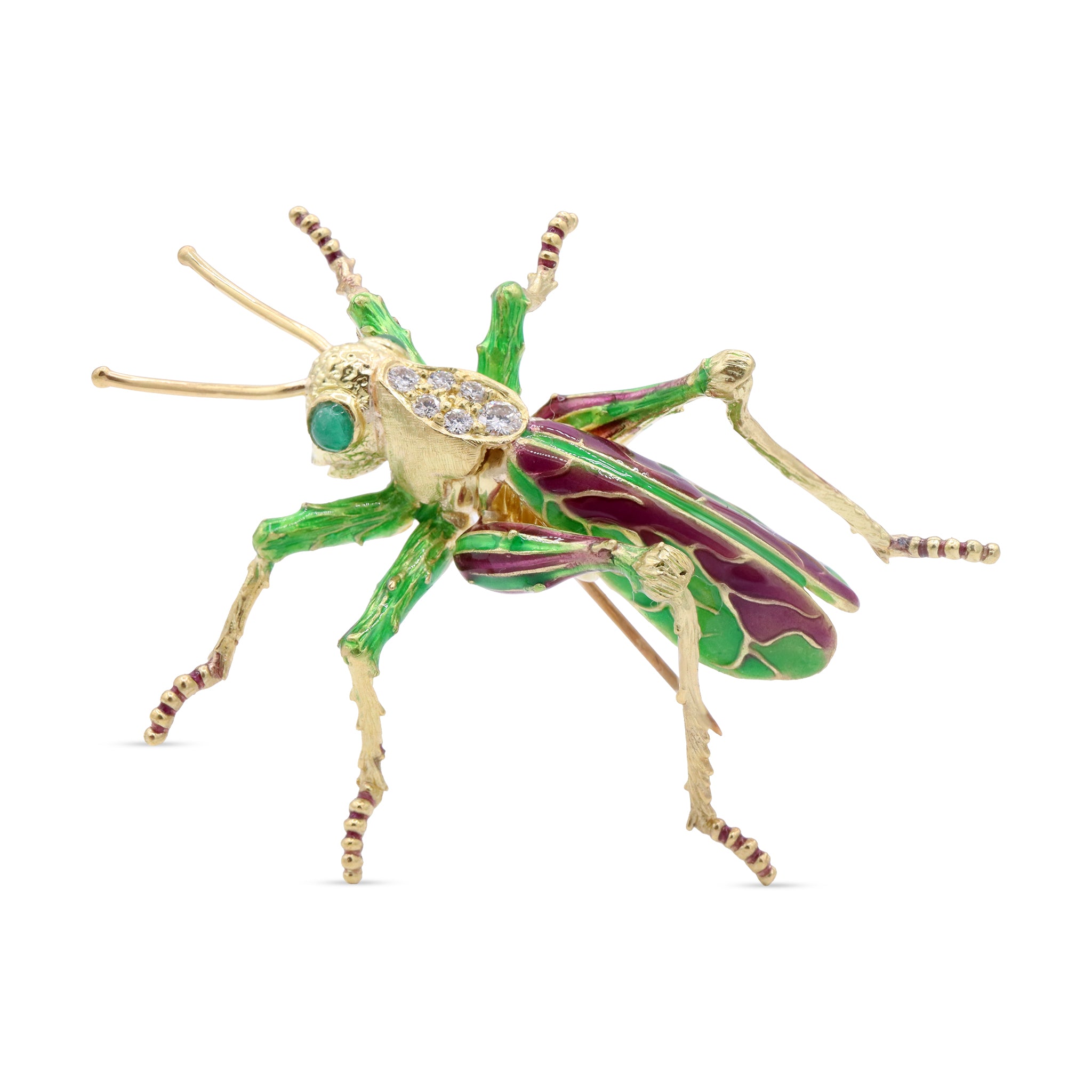 Animal 2 11-01-2024