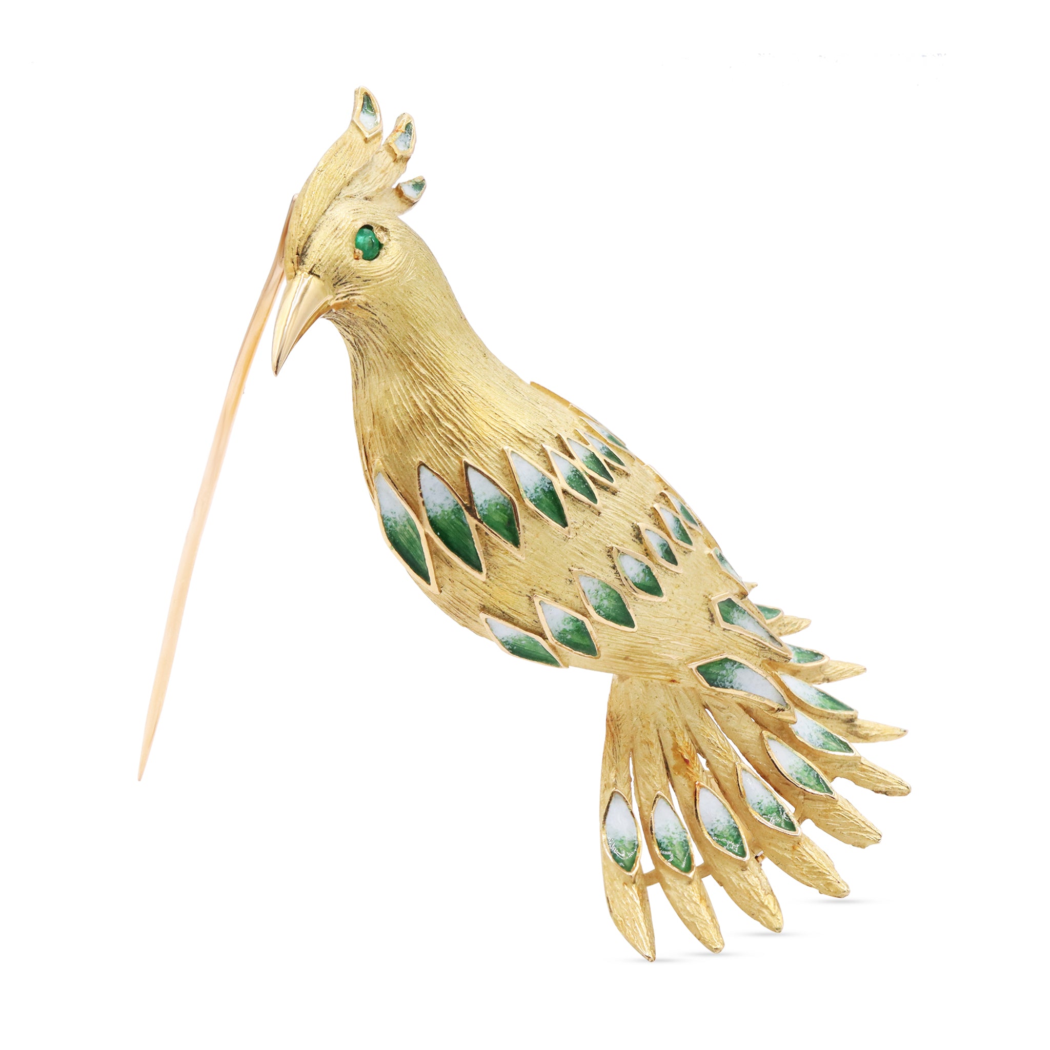 Animal 5 11-01-2024