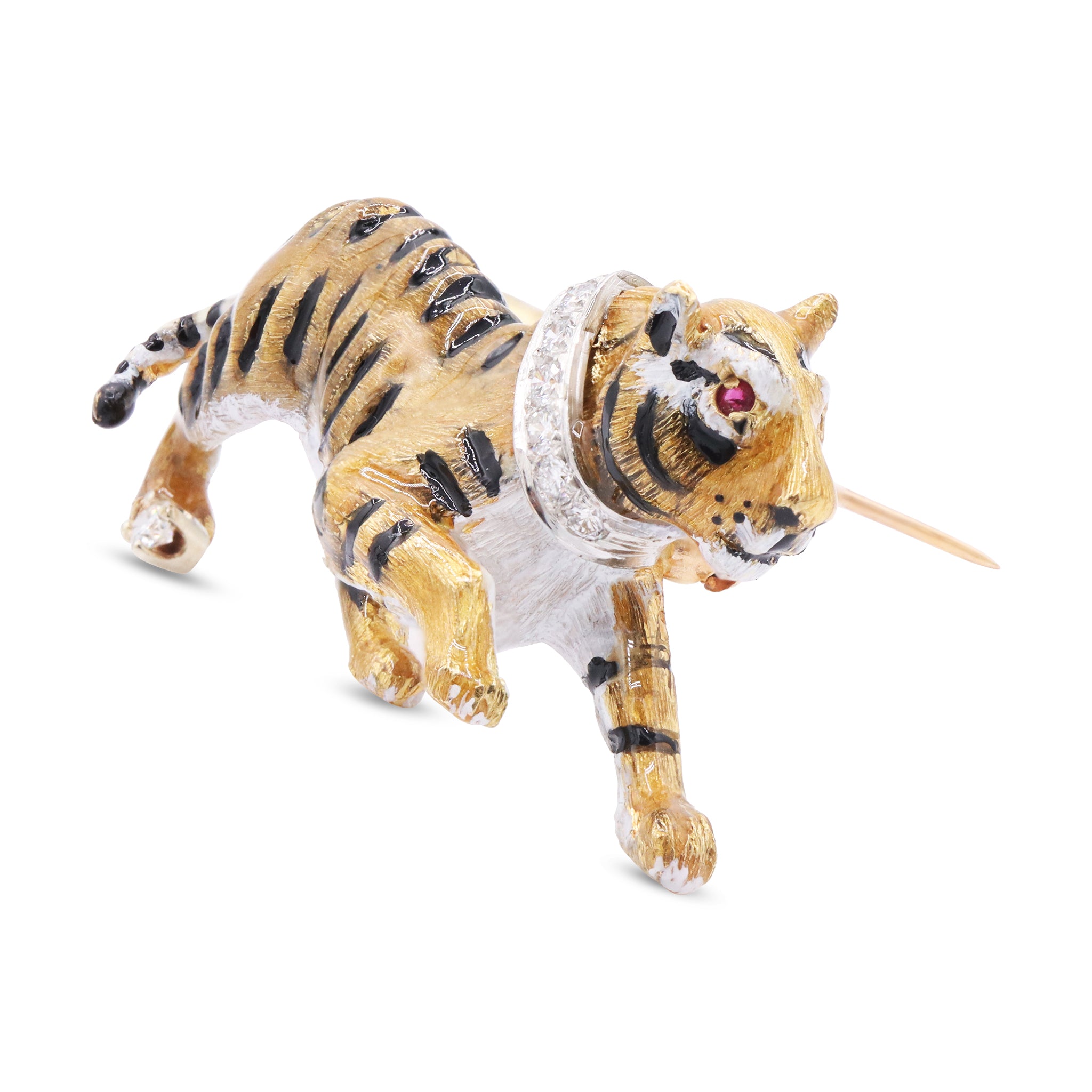 Animal 9 11-01-2024