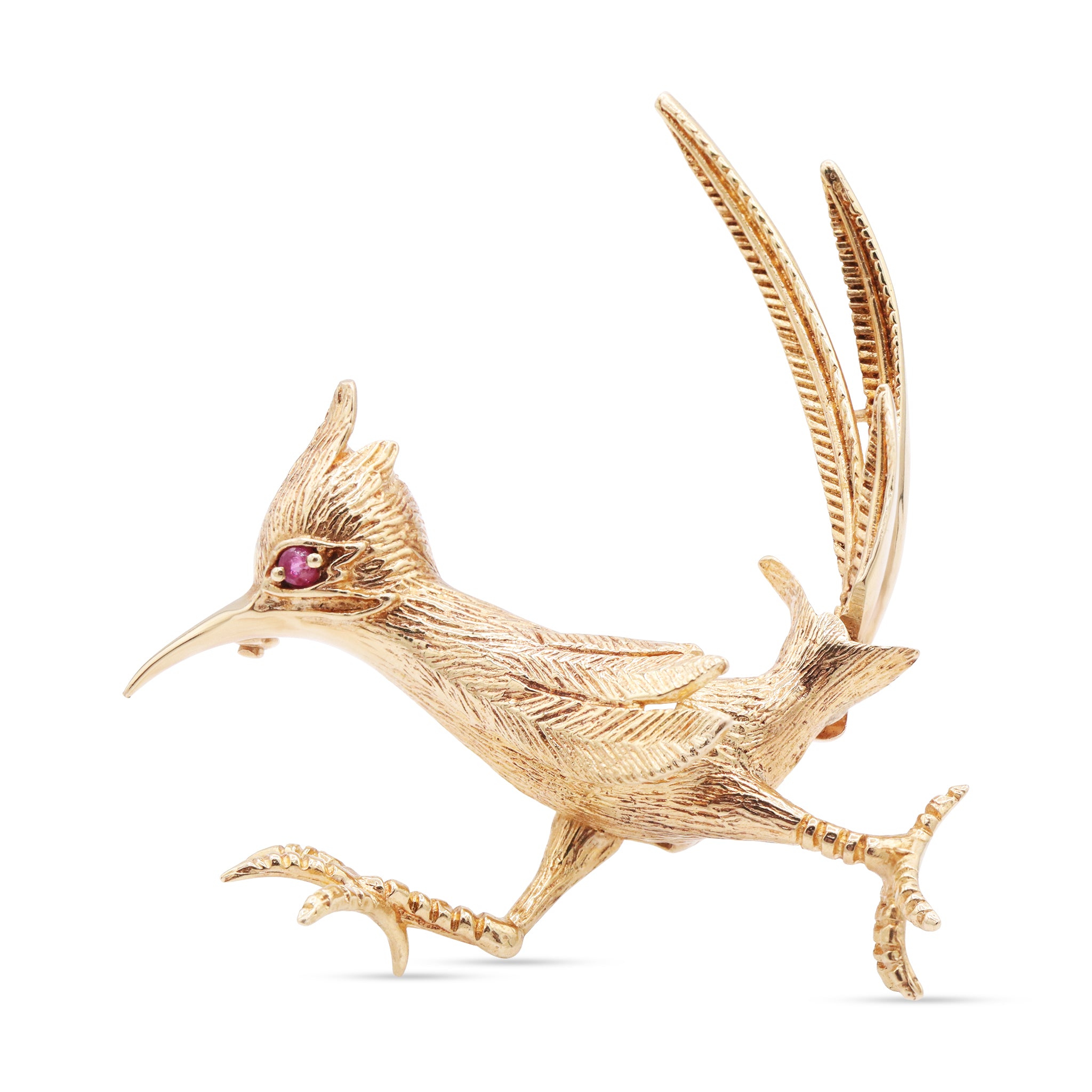 Animal 15 11-01-2024