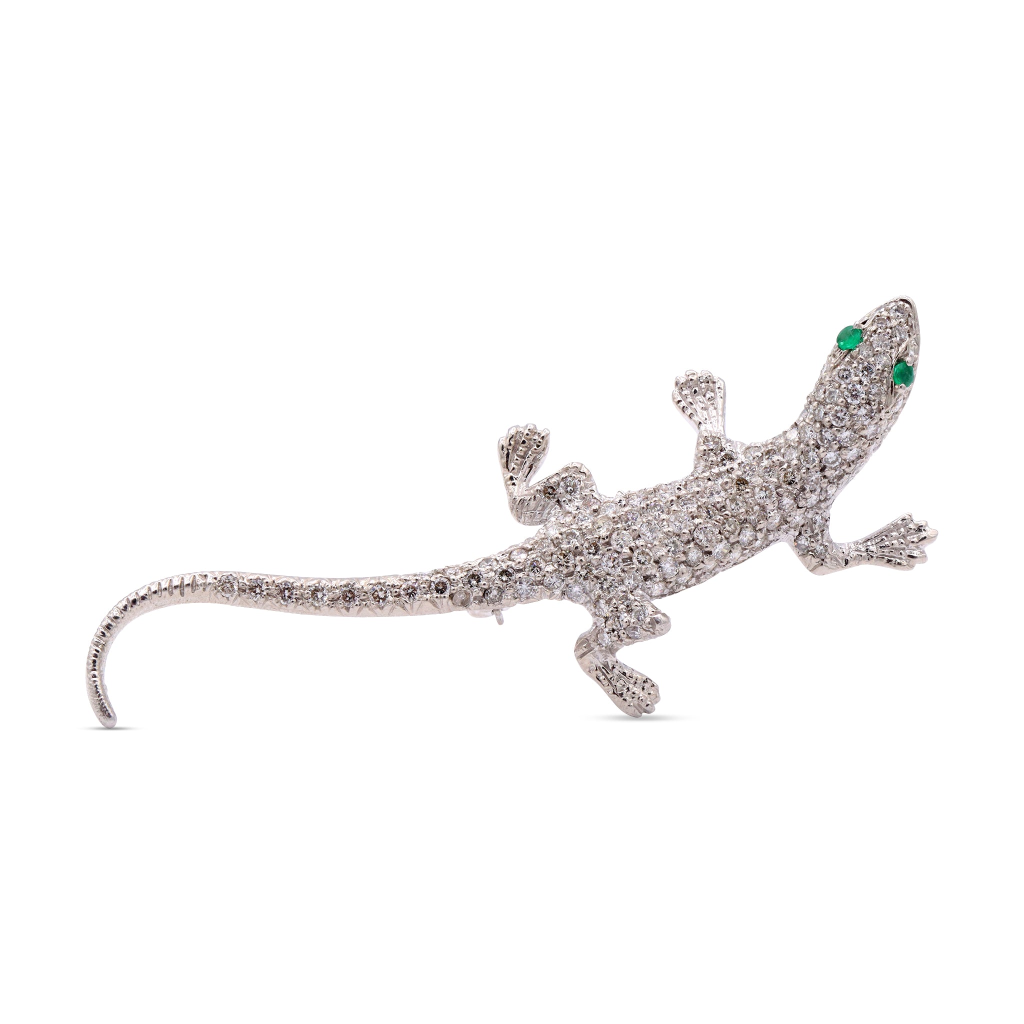Animal 20 11-01-2024